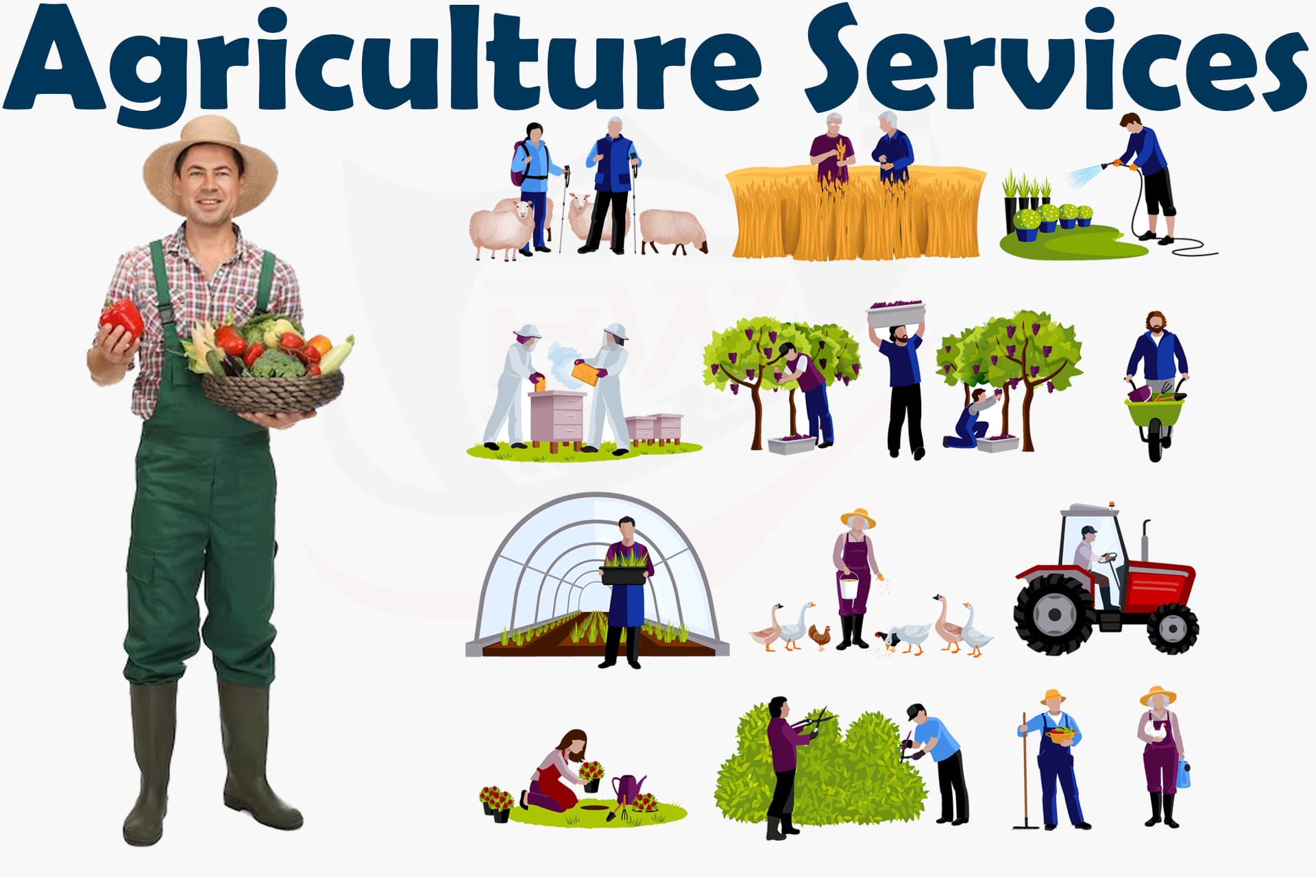 Agriculture Services
